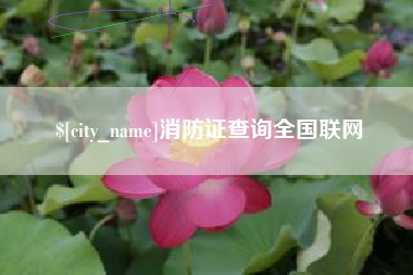 许昌消防证查询全国联网