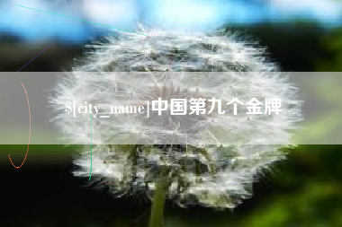 许昌中国第九个金牌