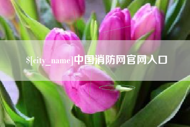 许昌中国消防网官网入口