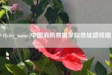 许昌中国消防救援学院地址路线图