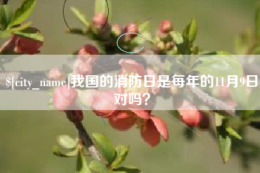 许昌我国的消防日是每年的11月9日对吗？