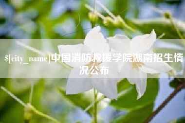 许昌中国消防救援学院湖南招生情况公布