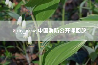 许昌中国消防公开课回放