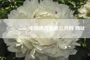 许昌中国执行信息公开网 网址