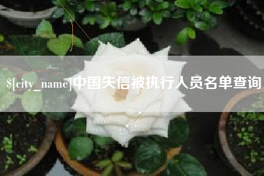 许昌中国失信被执行人员名单查询