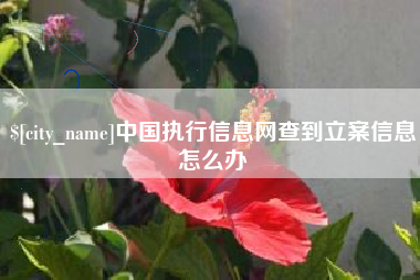 许昌中国执行信息网查到立案信息怎么办