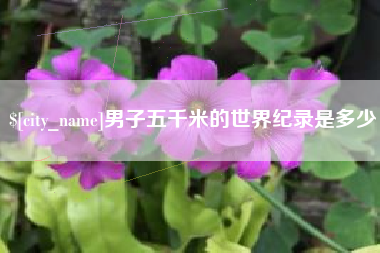 许昌男子五千米的世界纪录是多少