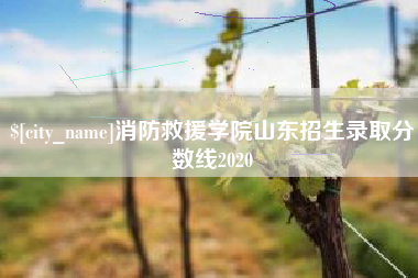 许昌消防救援学院山东招生录取分数线2020