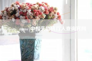 许昌中国失信执行人查询官网