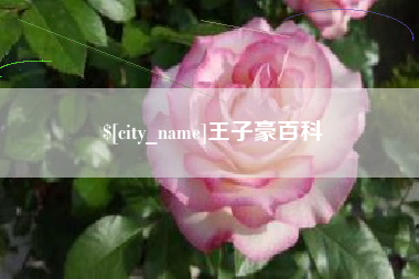 许昌王子豪百科