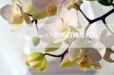 许昌119消防日哪年开始