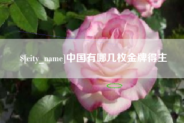 许昌中国有哪几枚金牌得主
