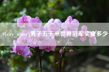 许昌男子五千米世界冠军奖金多少