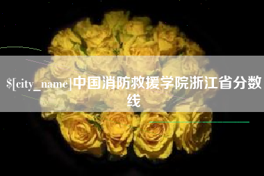 许昌中国消防救援学院浙江省分数线