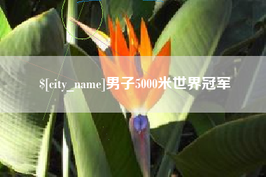 许昌男子5000米世界冠军