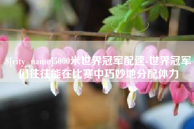 许昌5000米世界冠军配速-世界冠军们往往能在比赛中巧妙地分配体力