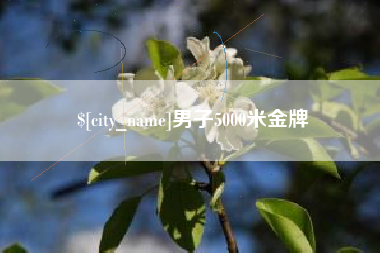 许昌男子5000米金牌