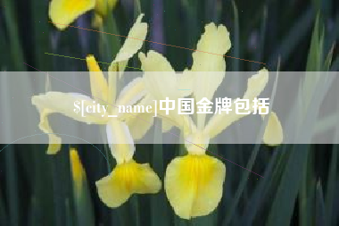 许昌中国金牌包括