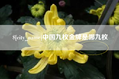 许昌中国九枚金牌是哪九枚
