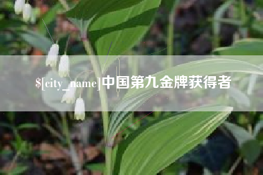 许昌中国第九金牌获得者