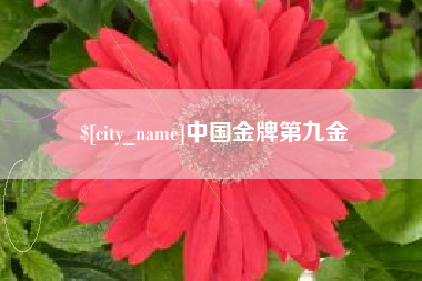 许昌中国金牌第九金