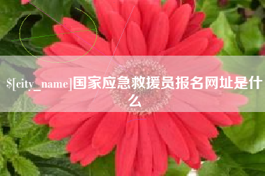 许昌国家应急救援员报名网址是什么
