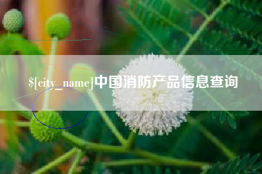 许昌中国消防产品信息查询