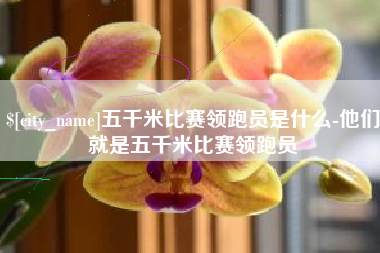 许昌五千米比赛领跑员是什么-他们就是五千米比赛领跑员