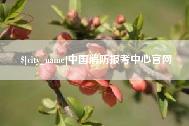 许昌中国消防报考中心官网