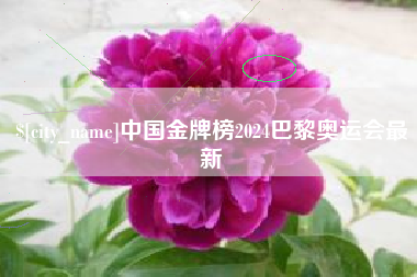 许昌中国金牌榜2024巴黎奥运会最新