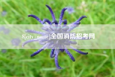 许昌全国消防招考网