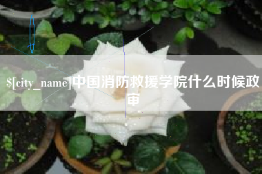 许昌中国消防救援学院什么时候政审