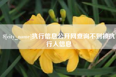 许昌执行信息公开网查询不到被执行人信息