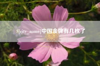 许昌中国金牌有几枚了