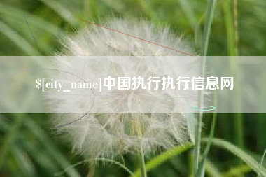 许昌中国执行执行信息网