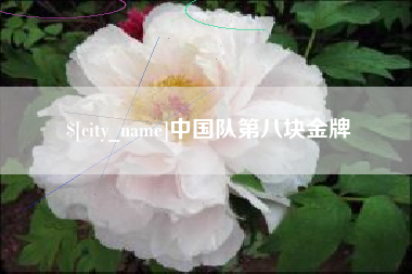 许昌中国队第八块金牌