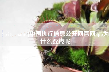 许昌中国执行信息公开网官网app为什么要钱呢
