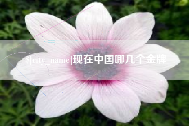 许昌现在中国哪几个金牌