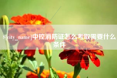 许昌中控消防证怎么考取需要什么条件