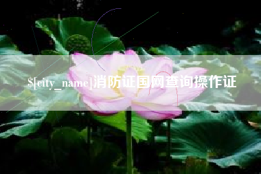 许昌消防证国网查询操作证