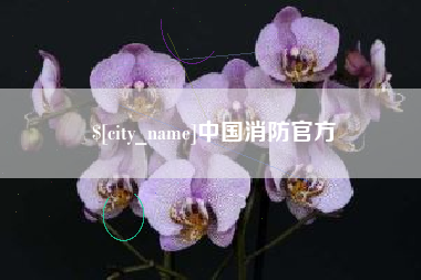 许昌中国消防官方