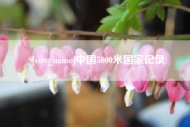 许昌中国5000米国家记录