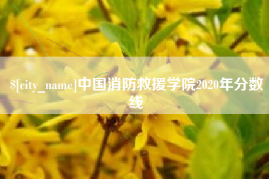 许昌中国消防救援学院2020年分数线