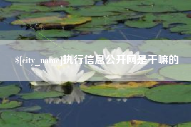 许昌执行信息公开网是干嘛的