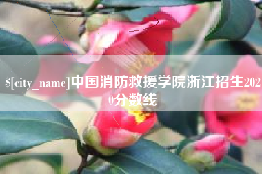 许昌中国消防救援学院浙江招生2020分数线