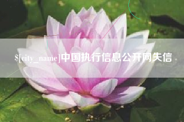 许昌中国执行信息公开网失信