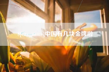 许昌中国有几块金牌啦