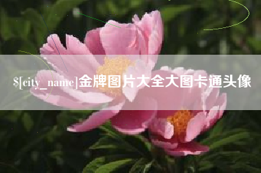 许昌金牌图片大全大图卡通头像
