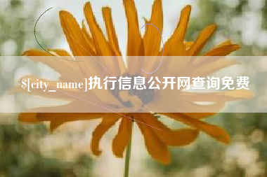 许昌执行信息公开网查询免费