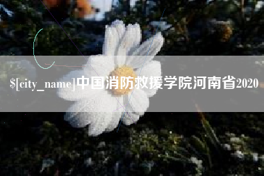 许昌中国消防救援学院河南省2020